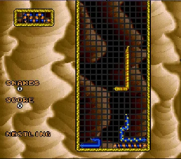 Wild Snake (USA) screen shot game playing